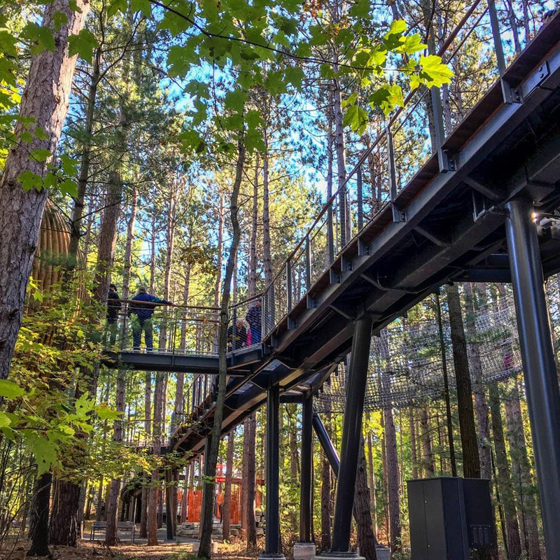 canopy walk at whiting forest