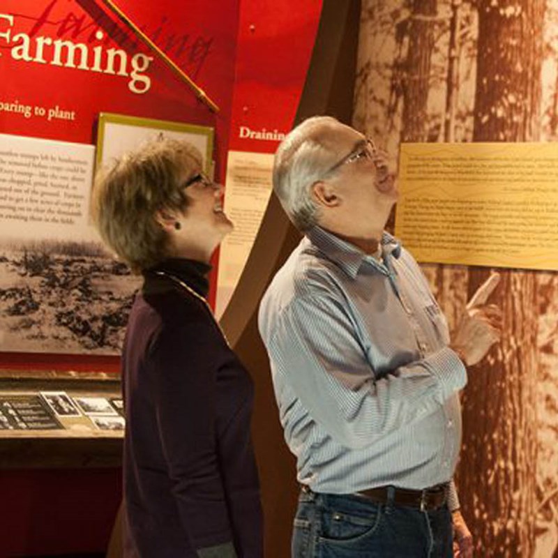 Couple looking at Museum Exhibit